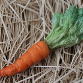 Силиконовая форма "Морковка" 2D фото, картинки
