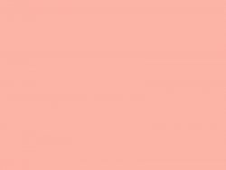Фоамиран зефирный 1мм (Китай) цв.темно-персиковый  50см/50см арт. 110 фото, картинки