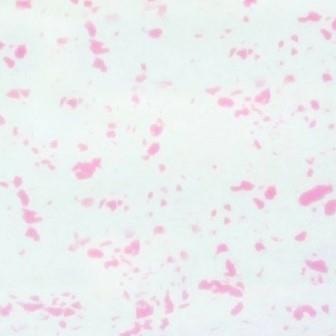 Фоамиран зефирный 1мм (цв.мрамор-розовый)  артикул 110303 фото, картинки