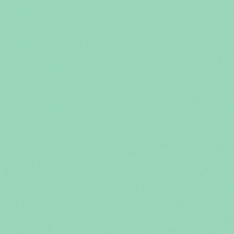 Фоамиран зефирный 1мм (Китай) цв.темно-мятный  50см/50см арт. 110023 фото, картинки