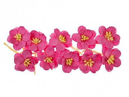 Цветки вишни Яркий розовый фото, картинки