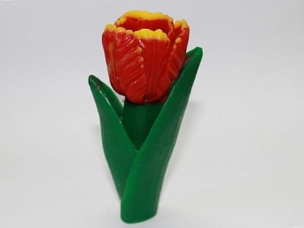 Объемная форма "Тюльпан" фото, картинки