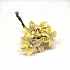 Мини- Лилии кремовые, размер цветка 2,5 см, 5 шт/упаковка FD3113147 фото, картинки
