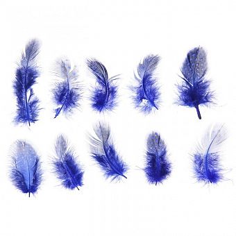 Набор перьев для декора 10 шт., размер 1 шт. 5*2 см, цвет синий с черным фото, картинки