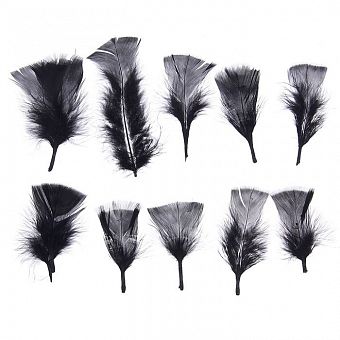 Набор перьев для декора 10 шт, размер 1 шт. 10*4 см цвет черный фото, картинки