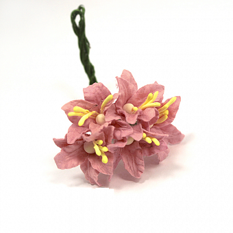 Мини- Лилии шебби-розовые , размер цветка 2,5 см, 5 шт/упаковка FD3113123 фото, картинки