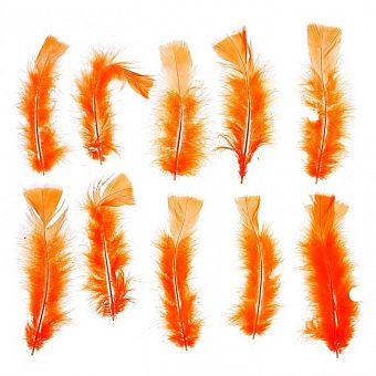 Набор перьев для декора 10 шт.,  размер 1 шт. 16*4 см, цвет оранжевый фото, картинки
