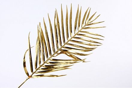 ИЦ Лист пальмы с напылением 60см золото фото, картинки