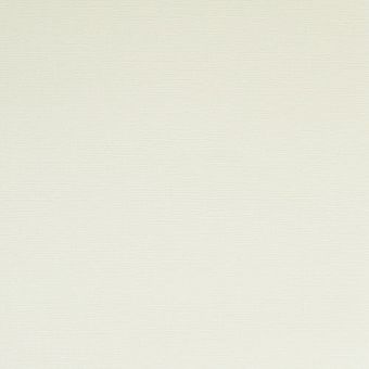 Текстурированный кардсток Молочный 30,5*30,5 см, 230 гр/м фото, картинки