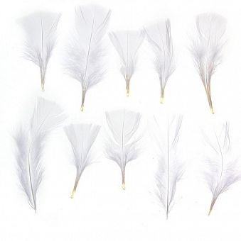 Набор перьев для декора 10 шт, размер 1 шт 10*4 цвет белый 1250942    фото, картинки