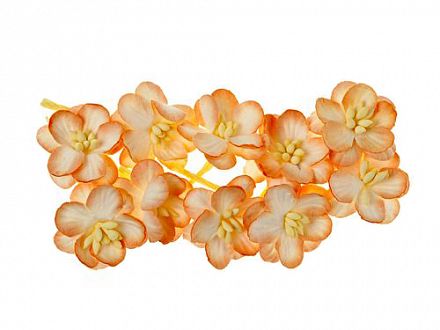Цветки вишни Персиковый фото, картинки