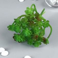 Искусственный суккулент для создания флорариума "Оскулярия зелёная" 12,5х12х10 см   4569021 фото