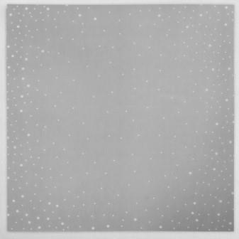 Калька декоративная  «Снег» 30,5 х 30,5  см   4388000 фото, картинки