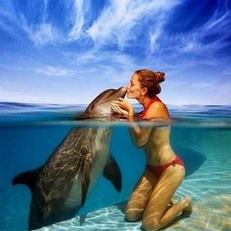 Картина по номерам "Девушка с дельфином" GX 28975 фото, картинки