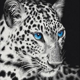 Картина по номерам "Голубоглазый леопард" GX 22284 фото, картинки