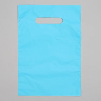 Пакет полиэтиленовый, с вырубной ручкой, голубой, 20 х 30, 33 мкм   4689696 фото, картинки