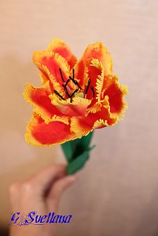 Махровый тюльпан из фоамирана фото, картинки