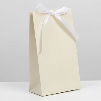 Пакет подарочный с лентой «Молочный», 13 × 23 × 7 см 7303874 фото, картинки