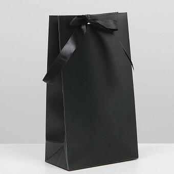 Пакет подарочный с лентой «Чёрный», 13 × 23 × 7 см   7303882 фото, картинки