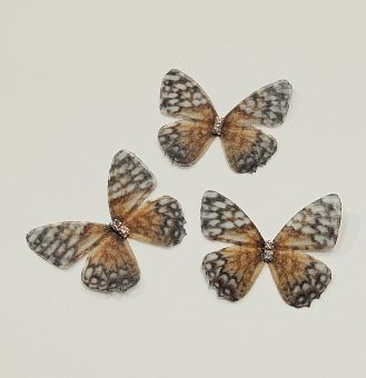 Бабочки шифоновые маленькие 3 см  SF-4484, №9 фото, картинки
