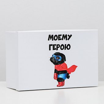 Подарочная коробка с приколами "Моему герою", 30,5 х 20 х 13 см 6255436 фото, картинки
