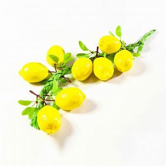 Связка лимона фото, картинки
