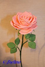 Роза на стебле из фоамирана фото